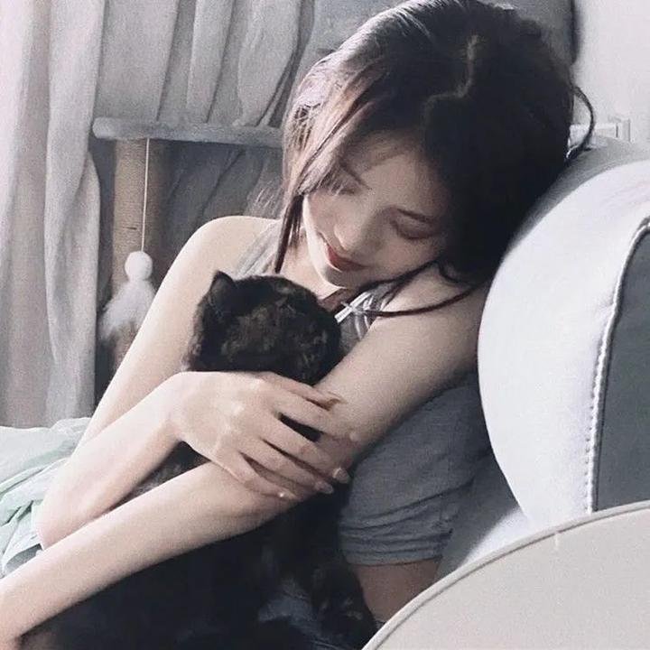 猫咪心动奇迹